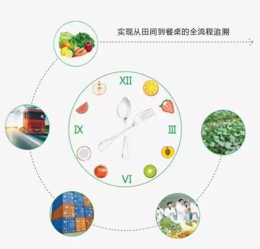 可溯源農產品電子商務平臺寧夏農產品質量安全溯源哪個公司在做